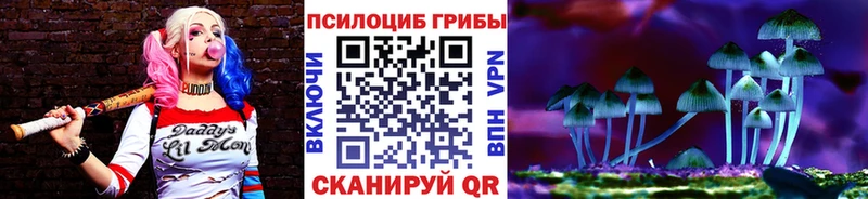 магазин  наркотиков  OMG   Галлюциногенные грибы прущие грибы  это состав  Кораблино 